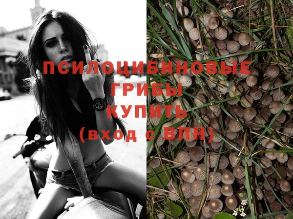 мяу мяу мука Абдулино