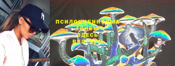PSILOCYBIN Алексин