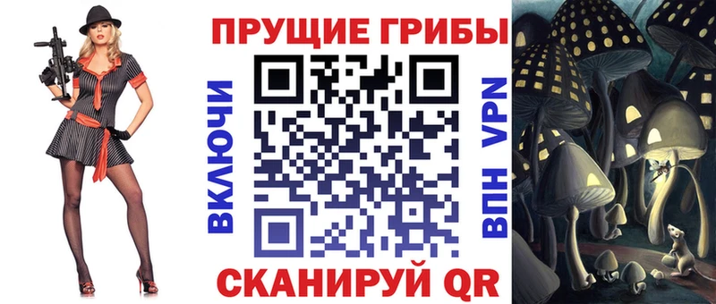 где можно купить наркотик  Новокубанск  Псилоцибиновые грибы Magic Shrooms 